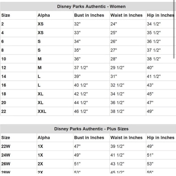 Disney Spirit Jersey Mickey Friends 100 Years of Wonder Disneyland Resort - Picture 2 of 12